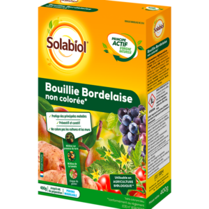 BOUILLIE BORDELAISE NON COLOREE - 400 g