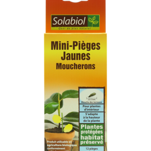 MINI-PIEGES JAUNE MOUCHERONS