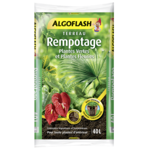 TERREAU REMPOTAGE PLANTES D'INTERIEUR ALGOFLASH - 40L