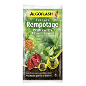 TERREAU REMPOTAGE PLANTES D'INTERIEUR ALGOFLASH - 6L
