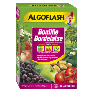 BOUILLIE BORDELAISE - ALGOFLASH