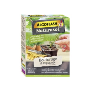 BOUTURAGE ET REPIQUAGE - NATURASOL