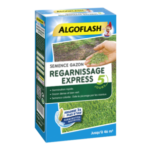 SEMENCE GAZON REGARNISSAGE- ALGOFLASH - 1 kg