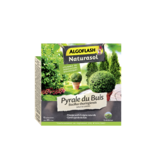 PYRALE DU BUIS - NATURASOL