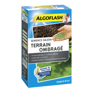 SEMENCE GAZON TERRAIN OMBRAGE - ALGOFLASH