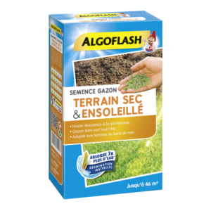 SEMENCE GAZON TERRAIN SEC - ALGOFLASH - 1 kg