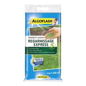 SEMENCE GAZON REGARNISSAGE- ALGOFLASH - 5 kg