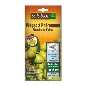 PIEGE A PHEROMONE MOUCHE DE L'OLIVE