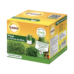 PIEGE A PHEROMONE POUR PYRALE DU BUIS