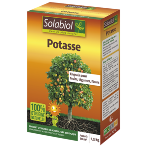 POTASSE