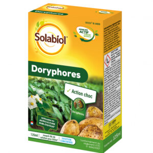 DORYPHORES