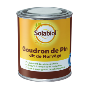 GOUDRON DE PIN