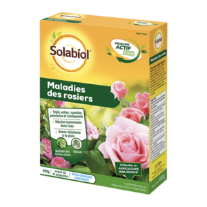 MALADIES DES ROSIERS