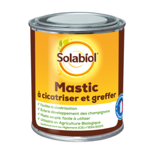 MASTIC A CICATRISER ET A GREFFER