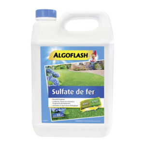 SULFATE DE FER - ALGOFLASH