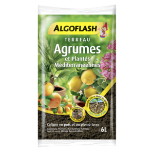 TERREAU AGRUMES ALGOFLASH