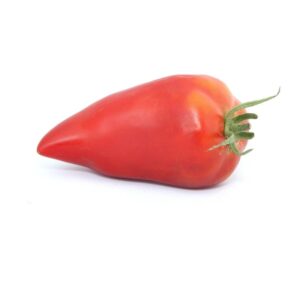 Tomate andine cornue