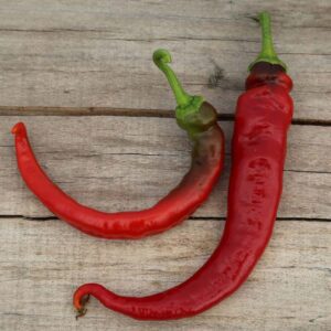 Piment doux très long des landes