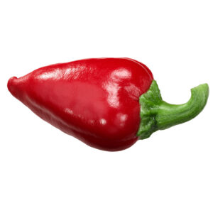Piment type espelette