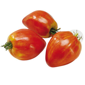 Tomate cœur de bœuf