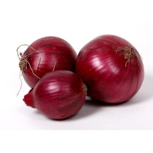 Oignon rouge