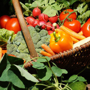 Plants de légumes variés