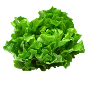 Salades - Différentes variétés